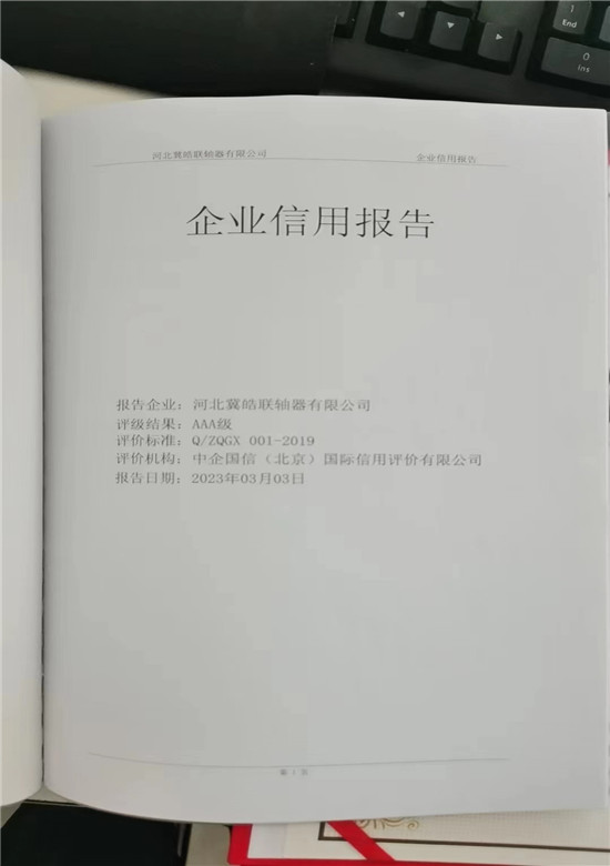 企業(yè)信用報(bào)告